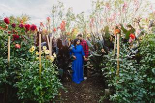 L. Hewitt Photography - 17