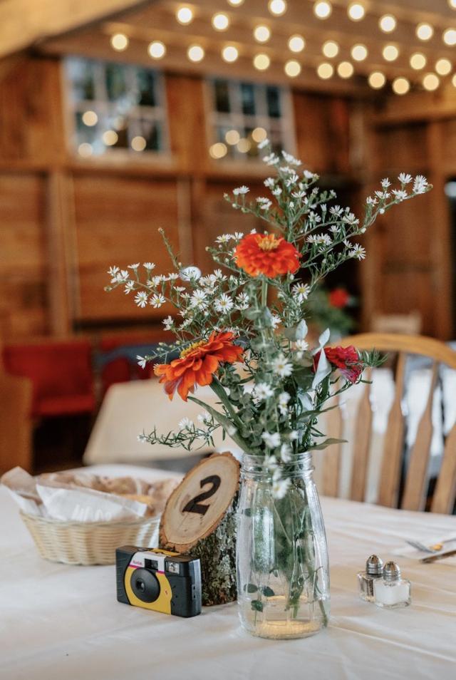 Betsie Bogart Photography - 2