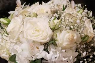 Elena's Flowers - 7