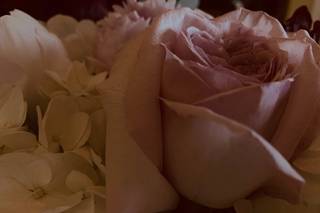 I Do Weddings Plus Events - 16