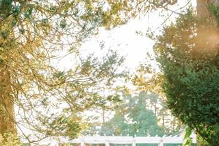 Maddy Williams Photography - 41