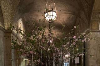 Bride & Blossom - 75