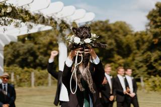 Stephanie Lang Photography Inc. - 7