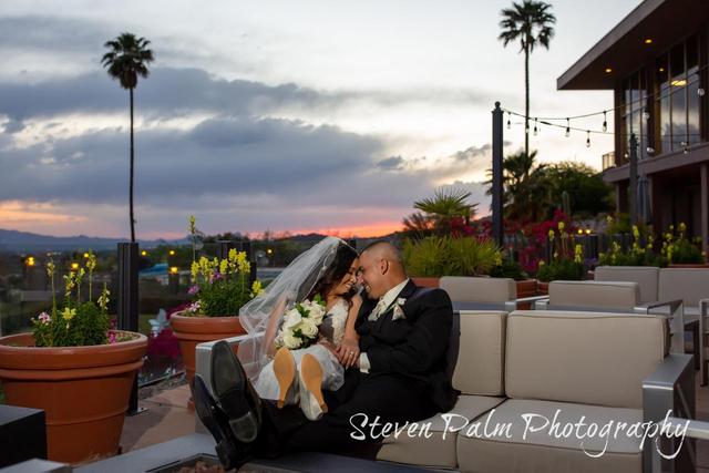 Steven Palm Photography - 1