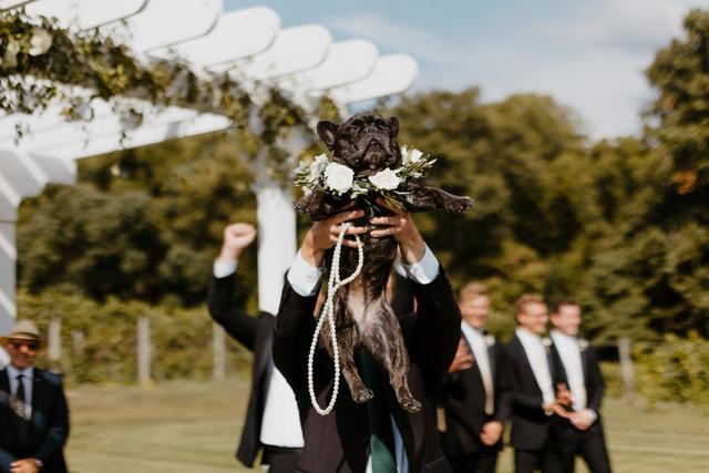 Stephanie Lang Photography Inc. - 4