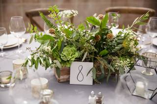 Tyler Speier Events - 18