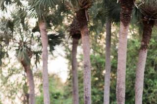Hyatt Regency Grand Cypress - 21