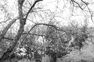 Brantwyn Estate - 29