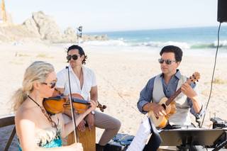 Violin and Ukulele - 3