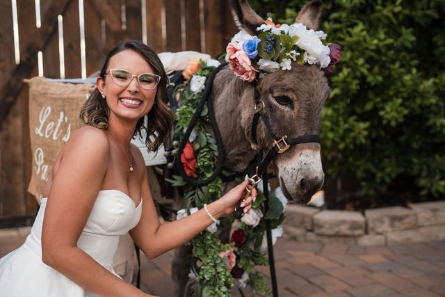 Cave Creek Beer Burro - 4
