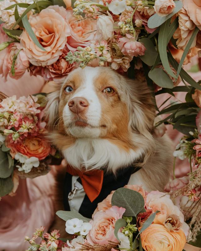 Mrs. McDonald Wedding Co. - 2