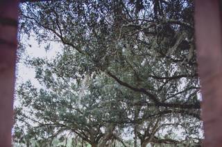 Clark Plantation Venue - 32