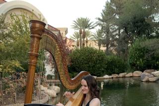 Modern Fairytale Wedding Harpist - 7