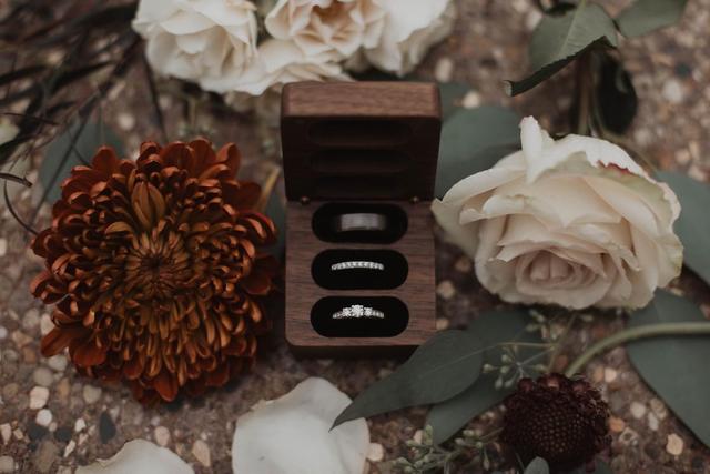 Picturesque Photography - 4