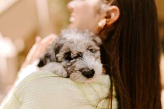 Kailey Beth Photography - 7