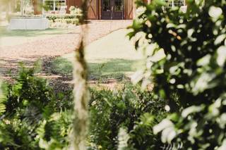Dewitt for Love Photography - 54
