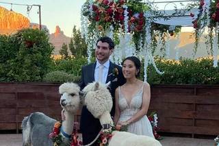 Casey Green Weddings, LLC - 8