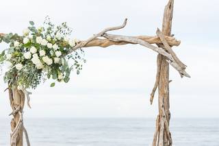 Coastal Shots Photography - 43