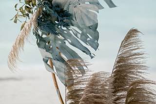 Protea FloraLab. - 33