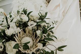 Plume Events - 23