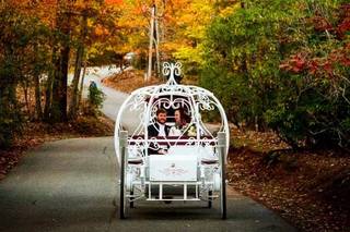 Forrest Hills Mountain Resort - 85