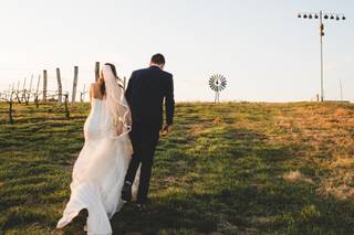 Elkin Creek Vineyard - 8
