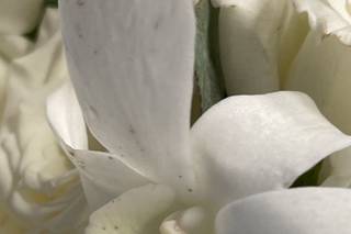Mrs. D's Flower Shop - 6