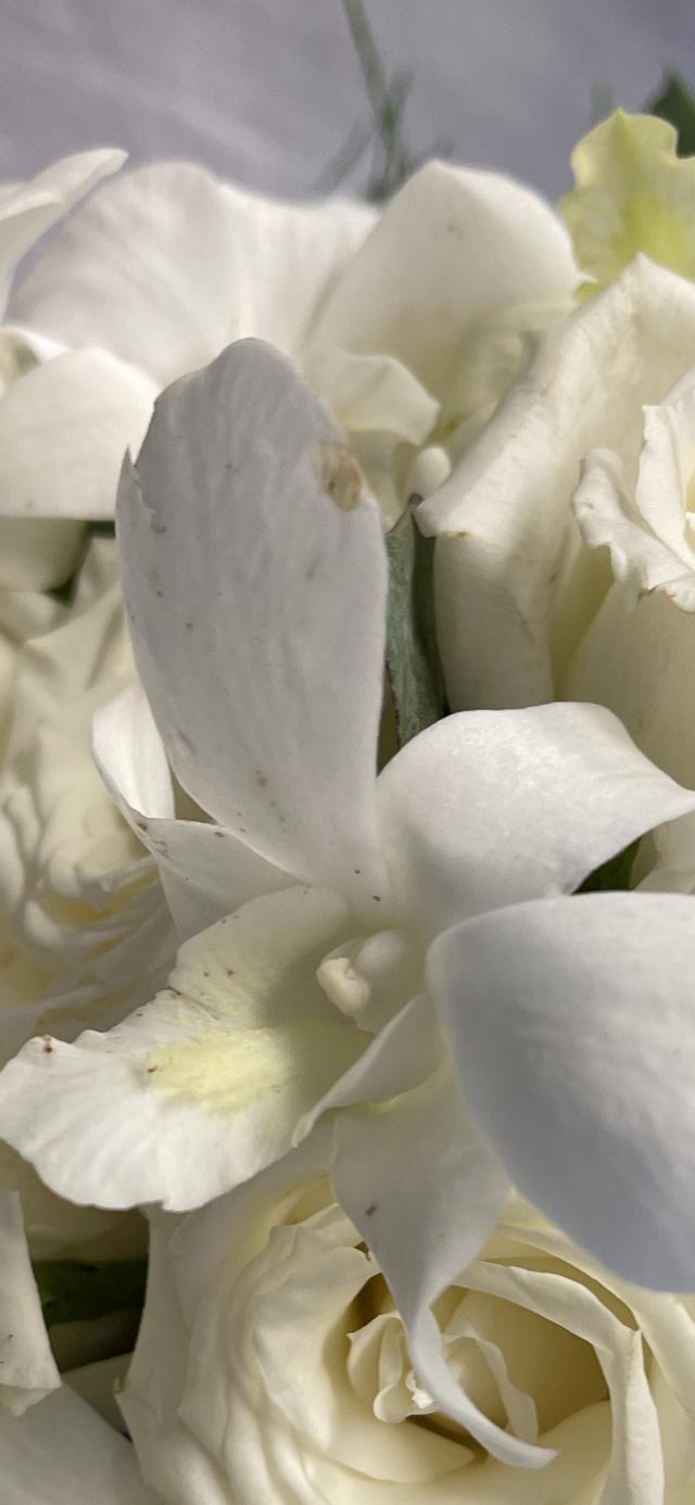 Mrs. D's Flower Shop - 3