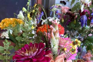 BridleWood Blooms - 7