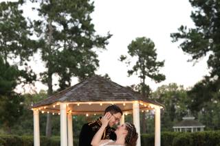 Gin Creek - 8