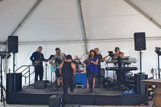 Deja Blu Variety Dance Band - 15