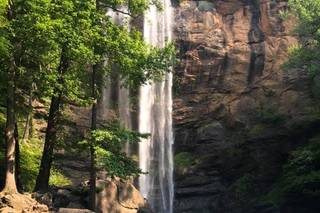 Waterfall Wedding Experts - 41
