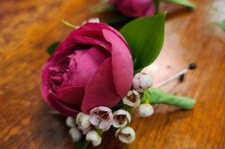 Garden Gate Flowers - 120