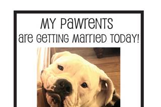 Confetti Event Planning - 20