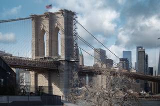 Steven Rosen Photography - 37