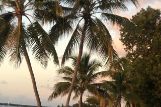 Key Largo Lighthouse Beach Weddings - 106