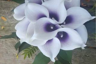 Bella Design - 8