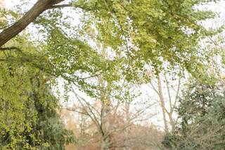 Jenifer Santo Photography - 53