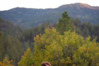 Bron Lowe Photography - 2
