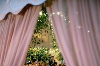 MDM Entertainment - 6