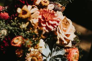 Summer Robbins Flowers - 48