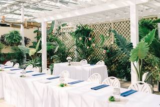 Buchwalter Greenhouse - 26