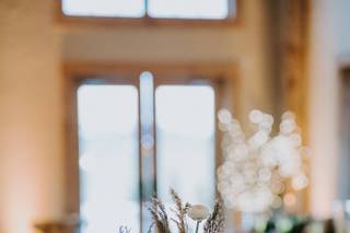 Golden Thistle Design - 37