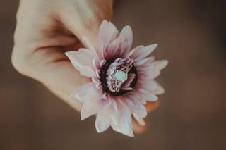 Selena McMahon Photography - 34