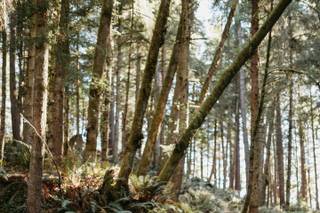 Kendra Wittwer Photography - 12