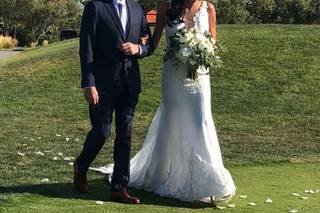 Olive Grove Photo - 7