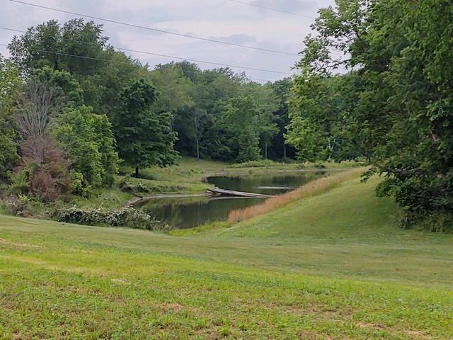 Walnut Grove Farm & Lodge - 3