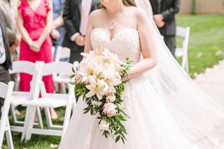 Bakerture Photo & Video - 35