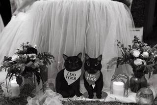 Grey Cardinal Events - 10