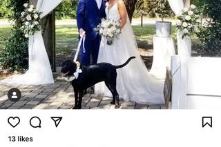 The Ginger Officiant - 24